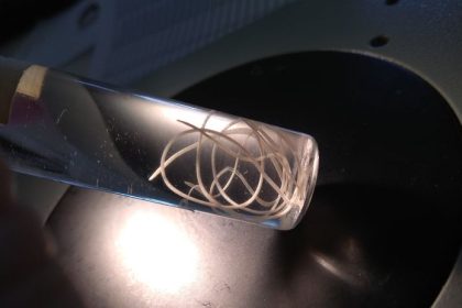 Aj komar prenas para zitickeho cerva v oku