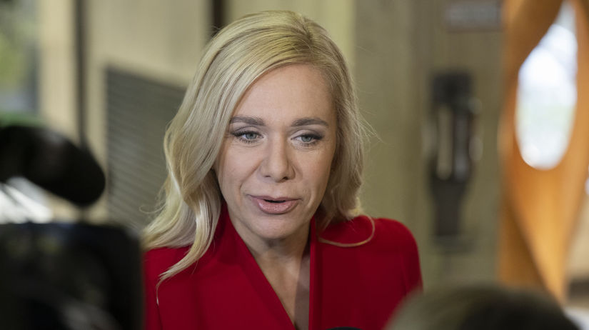 Isli sme na hranicu mozneho Ministerka Sakova spresnila vyrokovane garancie pri odpojeni od ruskeho plynu