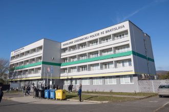 Stat nevie kam prestahuje cudzinecku policiu