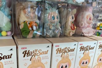 Labubu mania aj medzi pasermi Na hraniciach zadrzali 17 tisic monstier