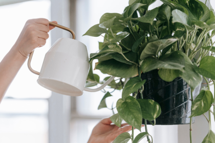 Odchadzate na dovolenku Tieto 4 triky udrzia izbovky nazive