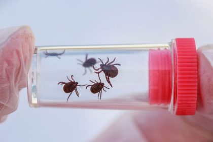 Pozor na klieste a surove mlieko odbornik radi