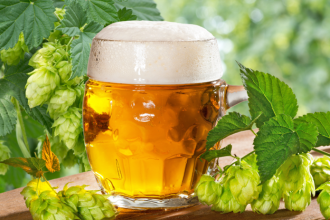 Slovensky chmel preziva vdaka Nemsovej