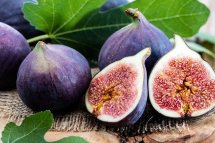 Supete figy Uz nikdy neurobite tuto chybu