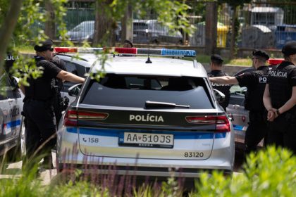 V obci pri Velkom Krtisi sa strielalo na auto