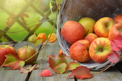 Neviete co robit s jablkami Vyskusajte recept