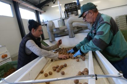 Orechy ako zivotna misia Toth premenil Filakovo