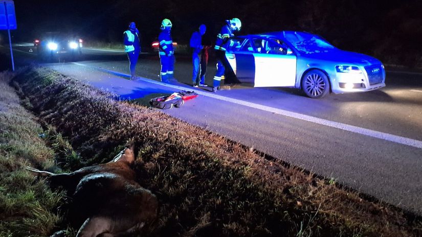 Pri Kosiciach auto narazilo do losa dvaja zraneni