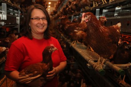 Slovenske vajcia sa menia na kvalitny produkt