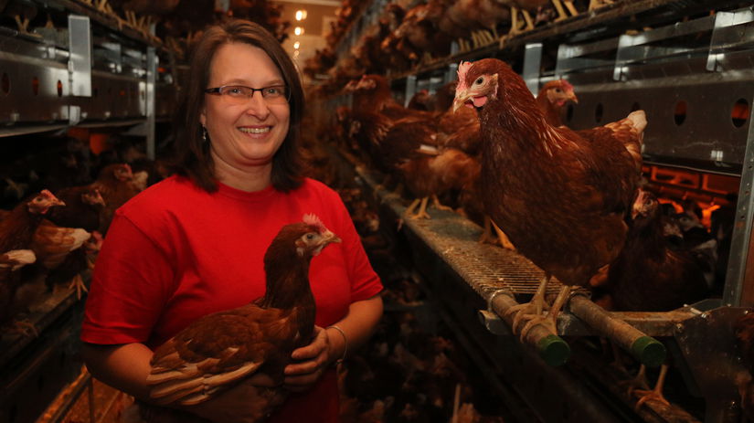 Slovenske vajcia sa menia na kvalitny produkt