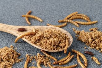 Brownies z mucneho cerva Chutnejsie a ekologicke