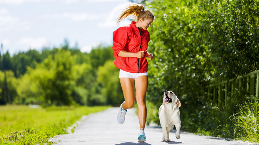 Europa miluje domacich milacikov Ktora krajina ma viac maciek a psov ako deti