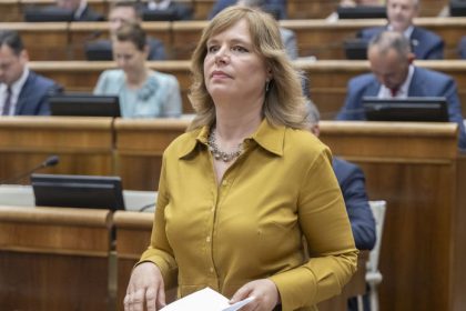 Fico priznal ze vystavil obyvatelstvo narastu kriminality tvrdi Remisova