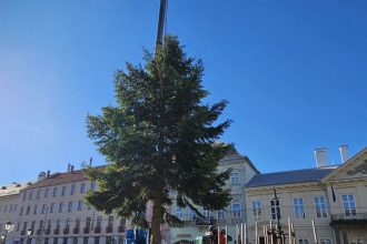 Na kosickej Hlavnej zasadili vianocny strom