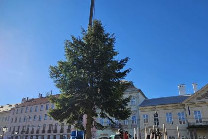 Na kosickej Hlavnej zasadili vianocny strom