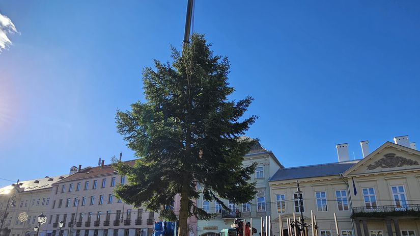 Na kosickej Hlavnej zasadili vianocny strom