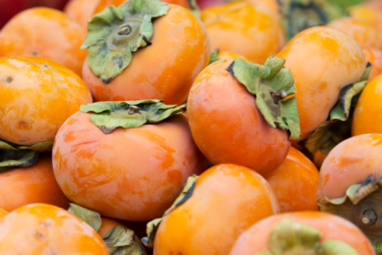 Trapia vas jesenne unavy a oslabena imunita