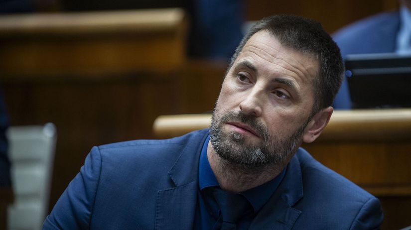 Energeticka pomoc podla SaS zlyhava varuje Viskupic