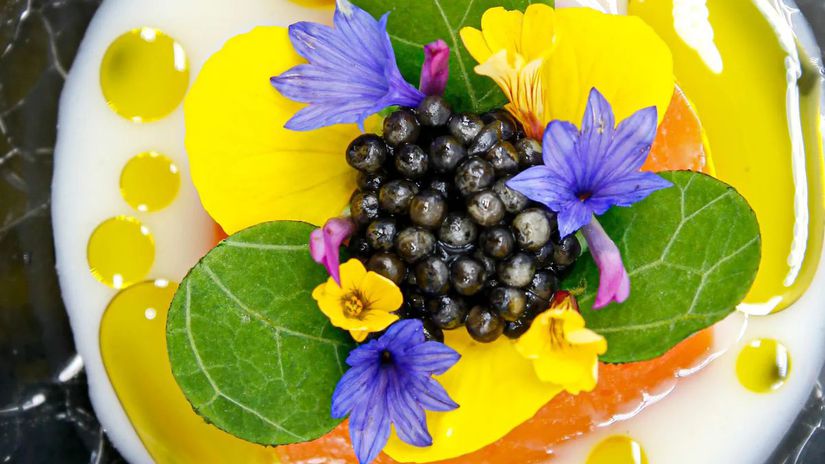 Kam sa ist v Cesku vynimocne najest