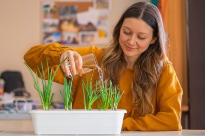 Ktore zeleninu a bylinky pestovat v zime