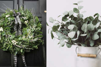 Najodolnejsi prvok vianocnych dekoracii Experti su si isti vysledok vas prekvapi