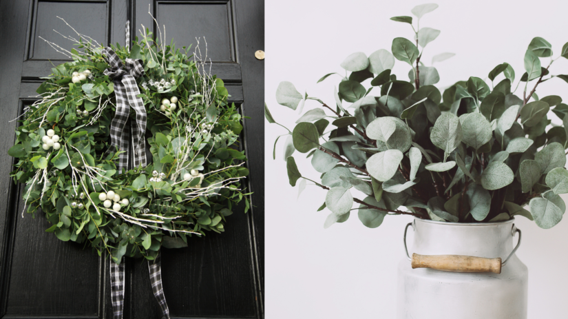 Najodolnejsi prvok vianocnych dekoracii Experti su si isti vysledok vas prekvapi