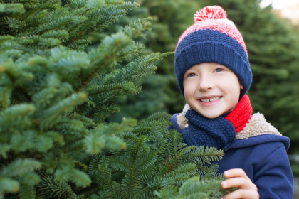 Nekupujte prvy vianocny stromcek ktory uvidite