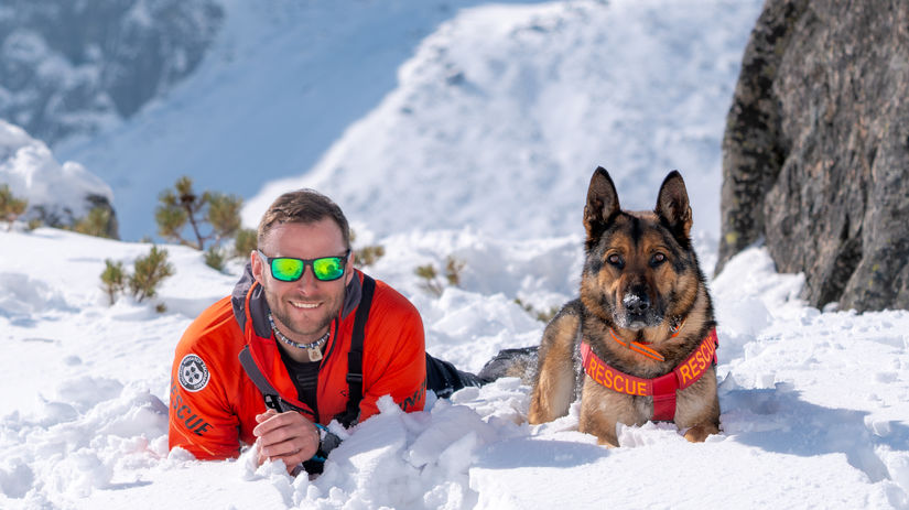 Pes ktory vystopoval mnohych zivych Neuveritelne pribehy Hectora ktory zachranil zachranara pred medvedom