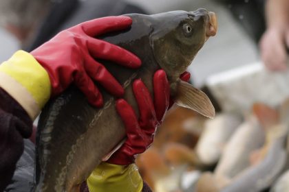 Rybia kost v krku moze sposobit katastrofu