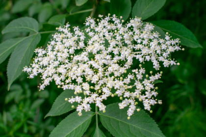 Vas metabolizmus sa moze zmenit uz za 7 dni