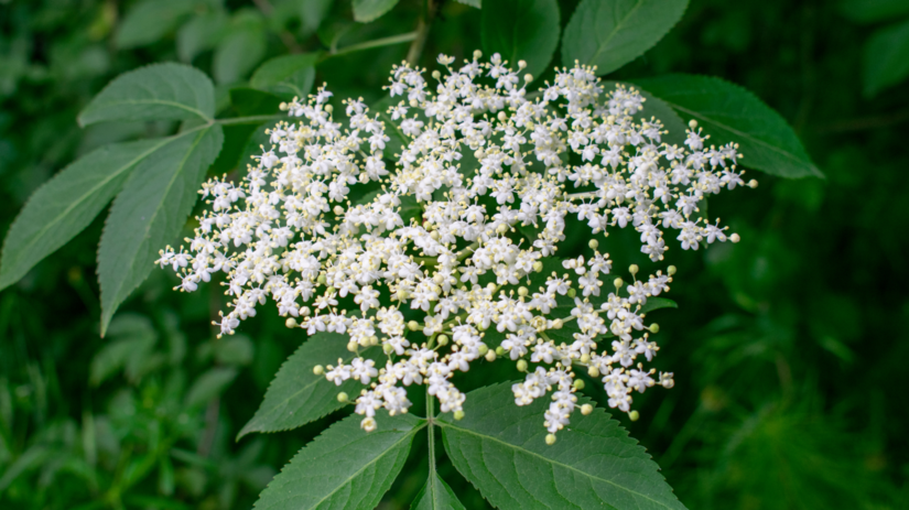 Vas metabolizmus sa moze zmenit uz za 7 dni