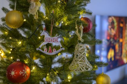 Vona ihlicia rozhoduje Slovaci oblubuju zive vianocne stromceky