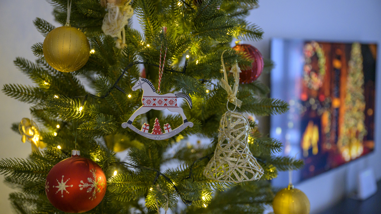 Vona ihlicia rozhoduje Slovaci oblubuju zive vianocne stromceky