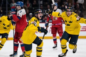 Cesky utok sa prebudil neskoro Titul majstra sveta oslavuju po drame Svedi