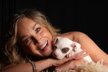 Kto si to sem do pekla sadol Sharon Stone nespoznali a vulgarne ju urazili Herecka im to vratila drsnou lekciou o slave