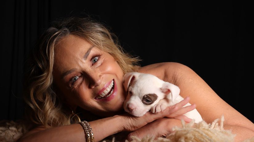 Kto si to sem do pekla sadol Sharon Stone nespoznali a vulgarne ju urazili Herecka im to vratila drsnou lekciou o slave