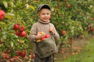 Mate malo miesta ale tuzite po ovoci tento tvar stromov premiena male zahrady na urodne