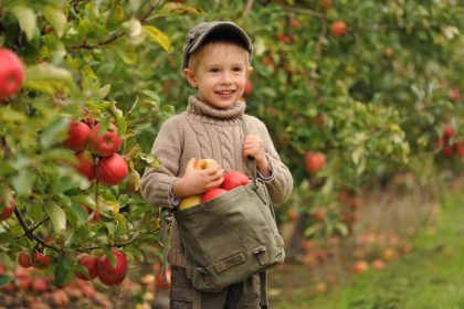 Mate malo miesta ale tuzite po ovoci tento tvar stromov premiena male zahrady na urodne