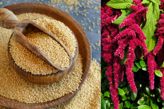 Podpora travenia kosti a svalov tato potravina je mimoriadne vhodna pre seniorov aj pri obmedzeniach v strave