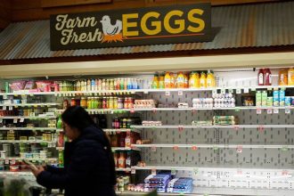 VIDEO Ziadne vajcia ziadne maslo Americania vykupuju obchody snehova burka ohrozuje 185 milionov ludi