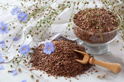 Silne srdce a vyrazne znizenie rizika rakoviny Zabezpecit ho moze male ale mocne semienko