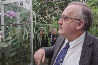 orchidea bez ktorej by neexistovali tie vase v kosiciach je vystaveny vynimocne vzacny druh