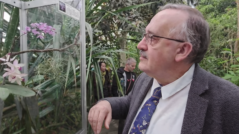 orchidea bez ktorej by neexistovali tie vase v kosiciach je vystaveny vynimocne vzacny druh