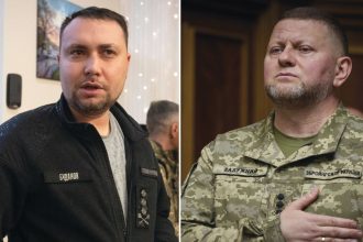 Bud prezidentsk voby bez Zelenskho O vtazovi by sa rozhodlo medzi dvoma generlmi