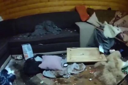 VIDEO Na Orave vycinil agresivny mladik so sekerou Kamarati pred nim skakali z balkona zranil aj svoju matku