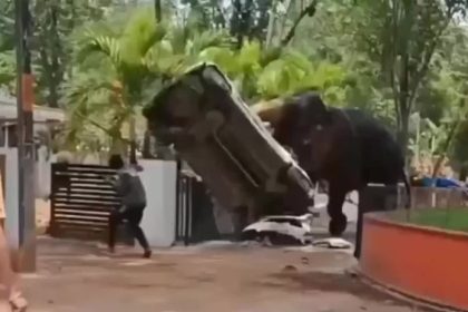 VIDEO Slon sa rozbehol v zachvate besnenia nicil auto a usmrtil cloveka